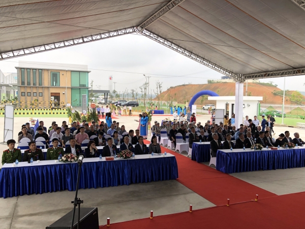 Nhà máy sản xuất gỗ dán AFI